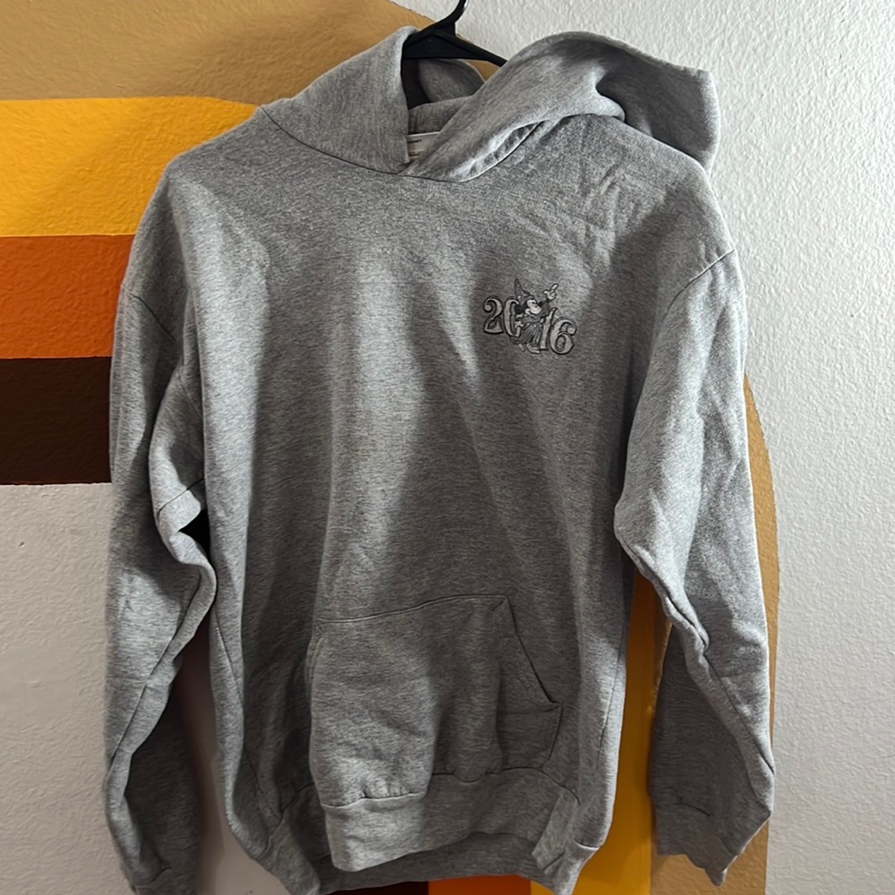 Disney world sweater hoodie